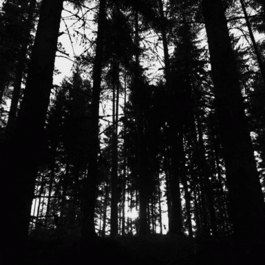 Autumn's Dawn : Smoke Screen Horizon